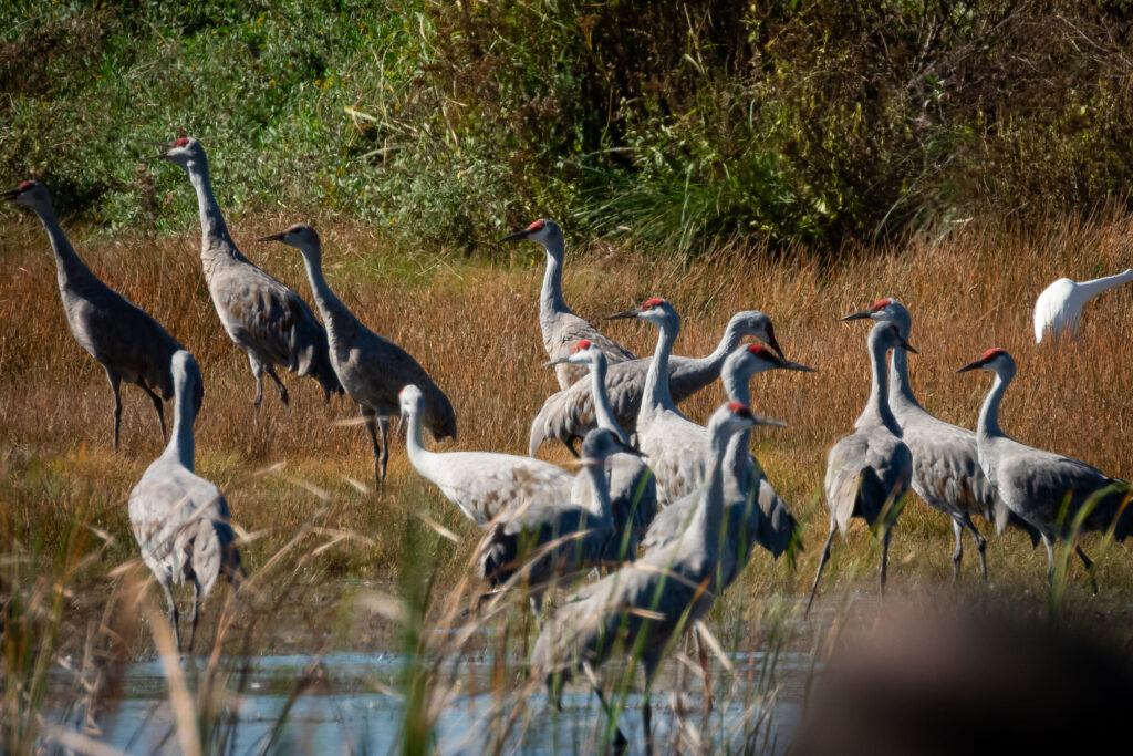 Reserva Natural Baños de San Ignacio