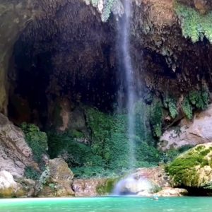 Chipitín en Nuevo León