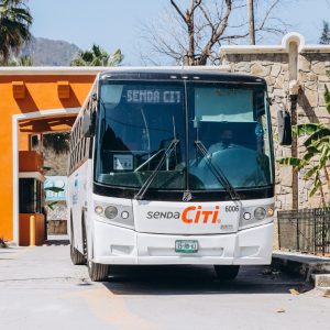 Transporte a Cola de Caballo